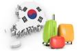 Tourism industry in South Korea 